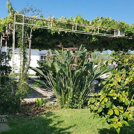 Maison De 250 M² Proche De L'océan Et Du Centre Hébergement de vacances *