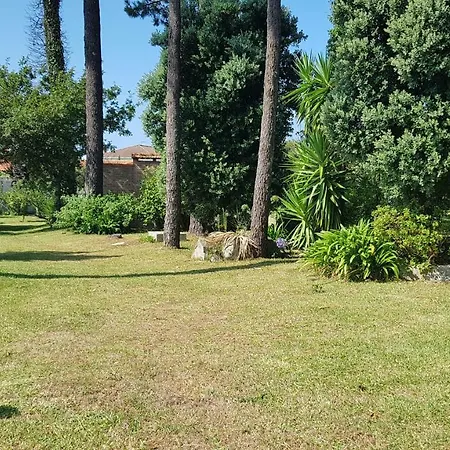 Maison De 250 M² Proche De L'océan Et Du Centre * Vila Praia de Âncora