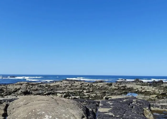 Spacieuse Proche De L'ocean