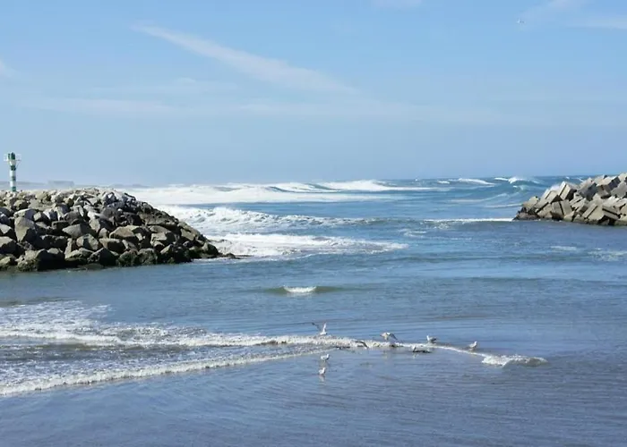 Spacieuse Proche De L'ocean * 빌라프라이라데안코라