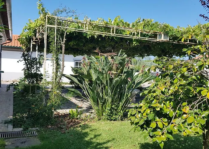 Maison De 250 M² Proche De L'océan Et Du Centre Сasa de vacaciones *